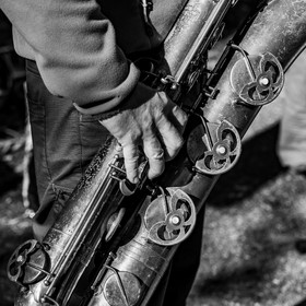 26 octobre 2025 : Les oiseaux de trottoir