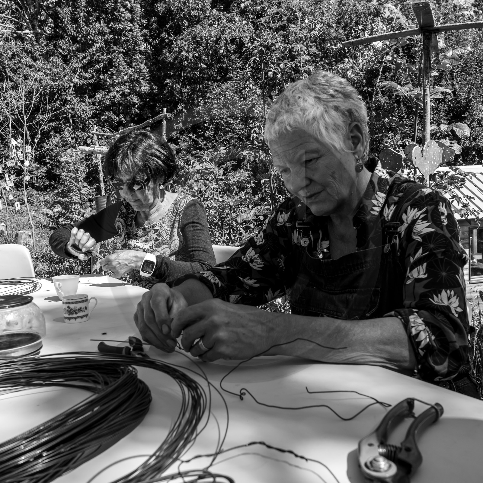 Activités au jardin