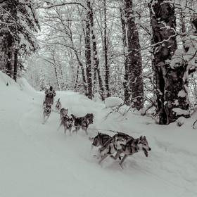La Valgaude Traineau 2015