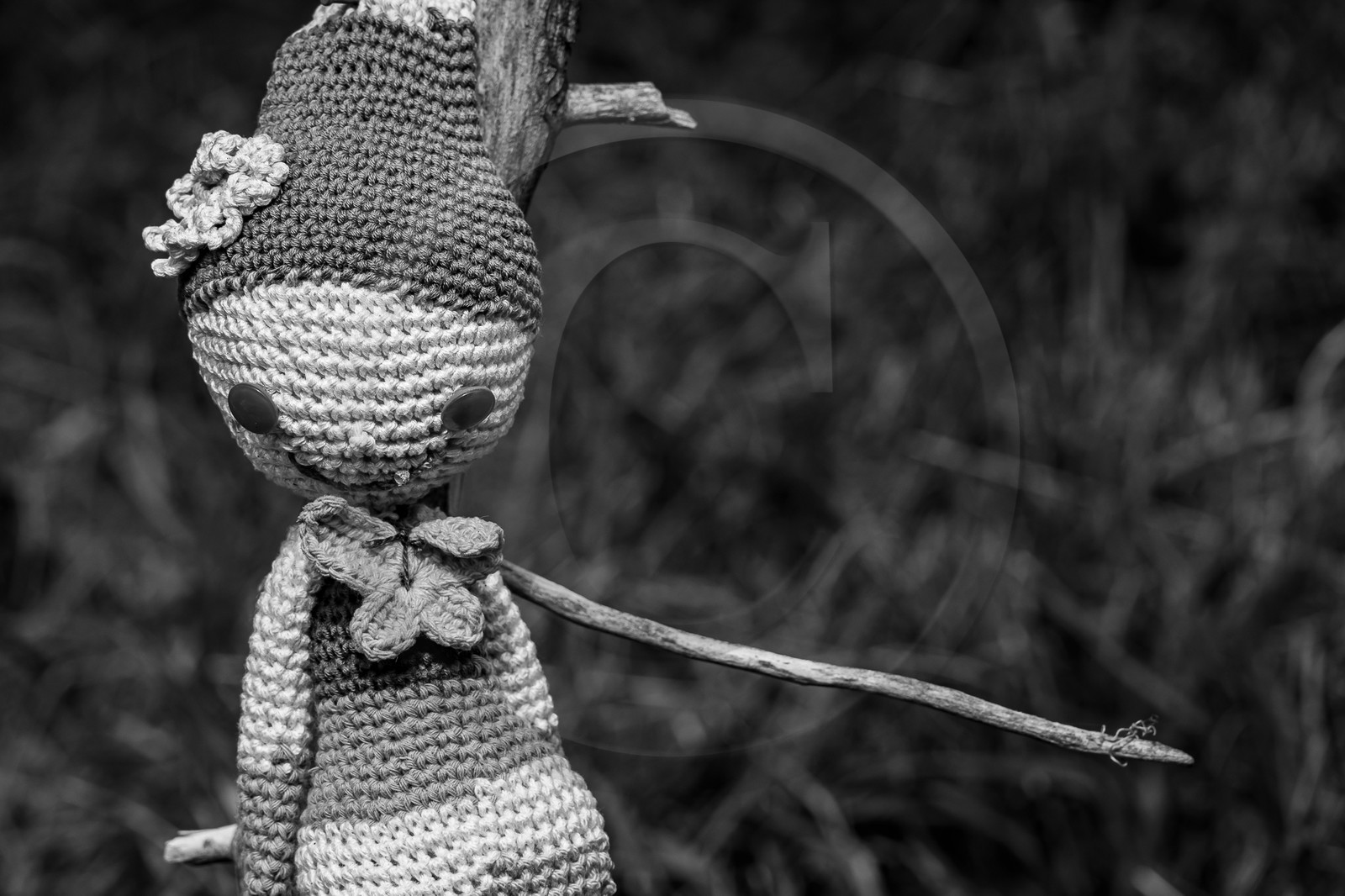 17 juillet 2023 : Journée des aidants et des aidés