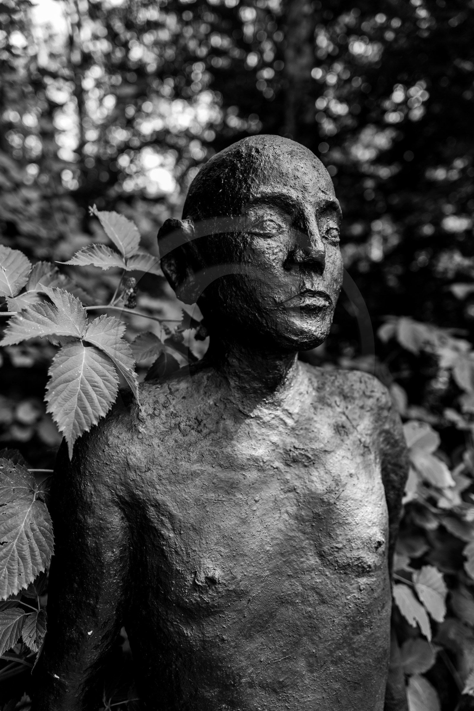 Exposition La forêt d'hommes, une création de Barbara Fougnon, artiste plasticienne