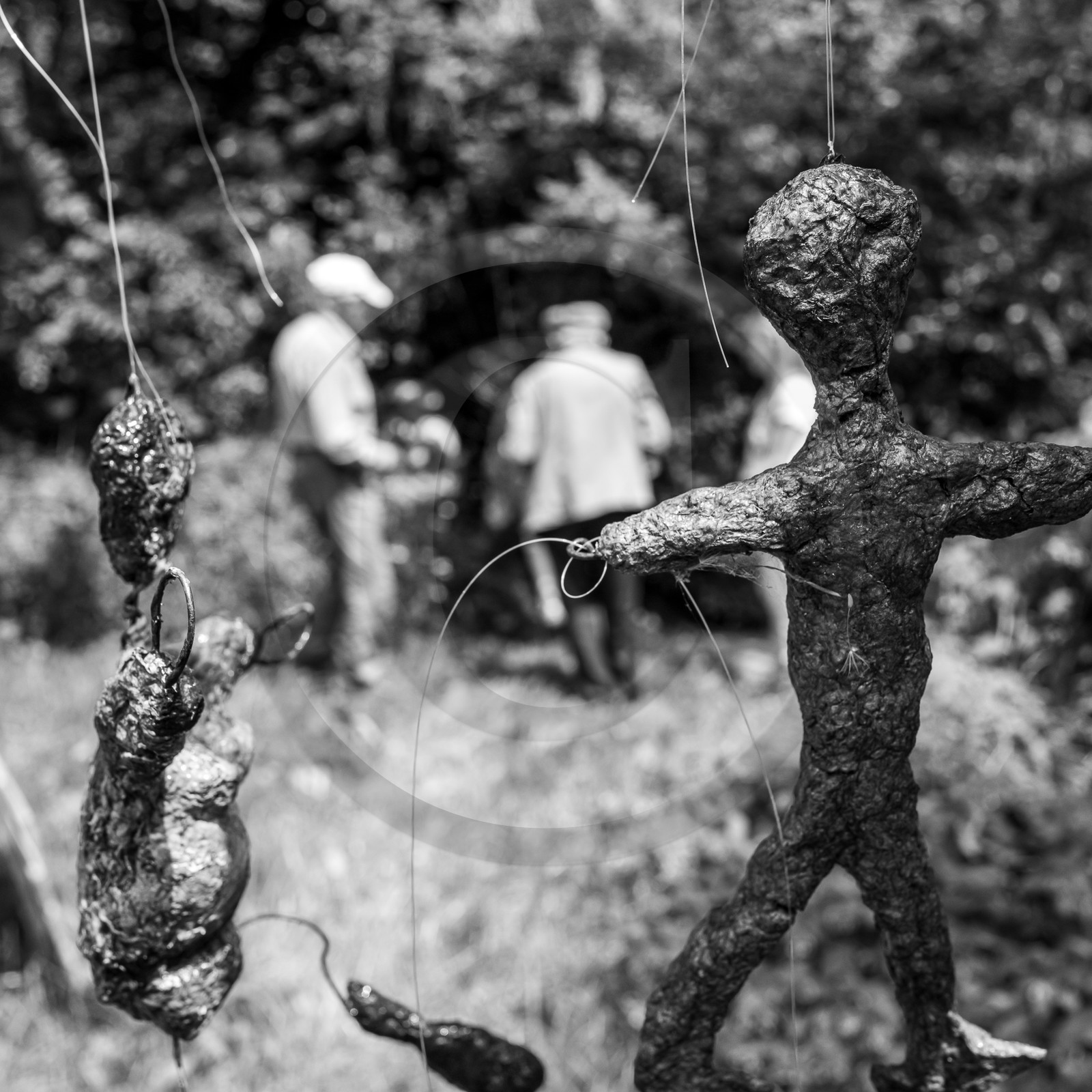 21 juin 2023 : Découverte botanique 21 juin 2023 : Découverte botanique