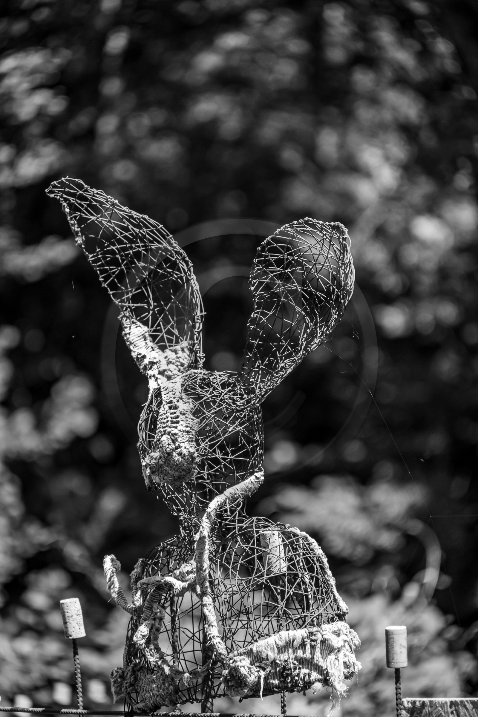 12 juin 2024 : création d'un jeu et jardinage