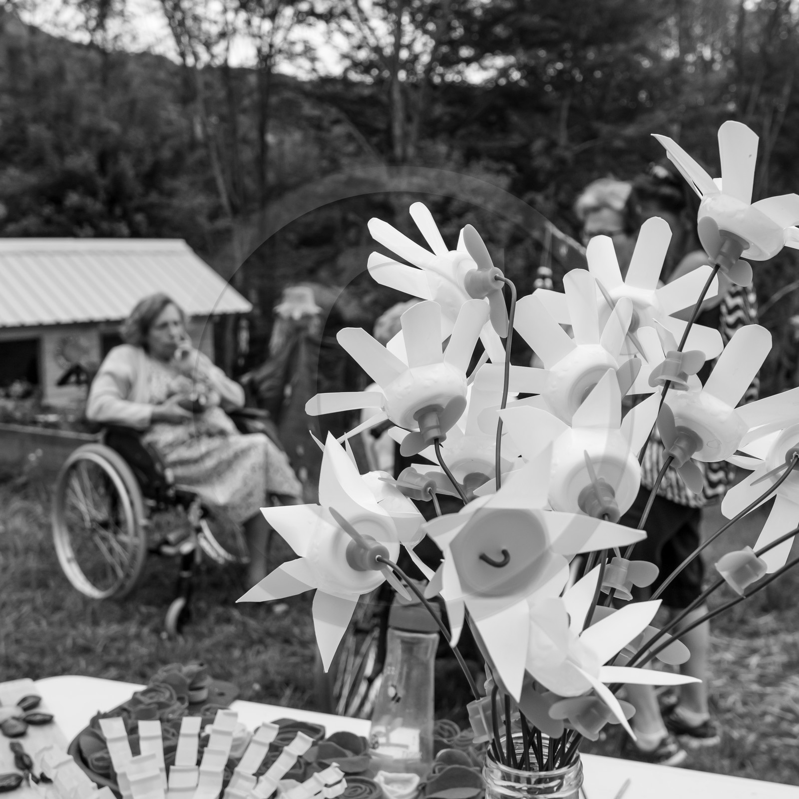 05 juin 2019 : Studio photo et promenade au jardin 05 juin 2019 : Studio photo et promenade au jardin