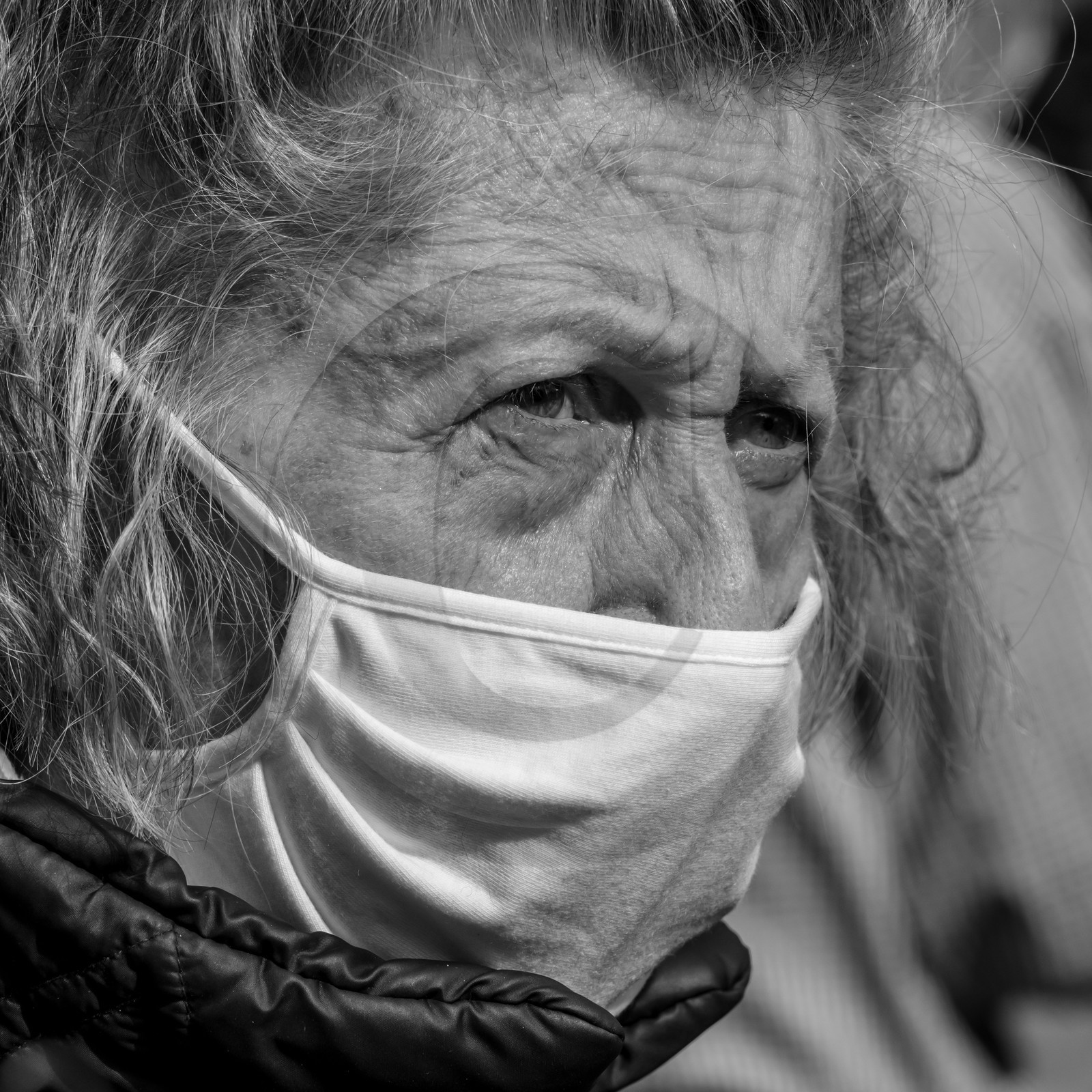 Fabrication de tournesols