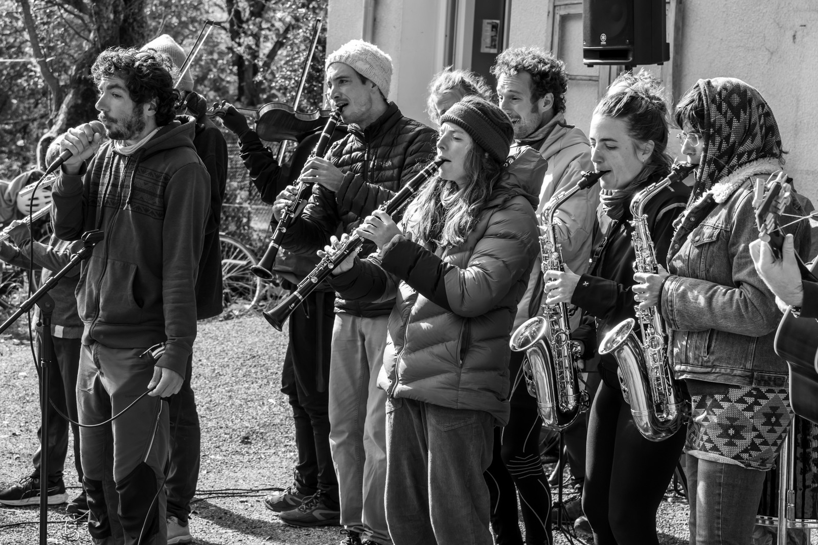 26 octobre 2025 : Les oiseaux de trottoir