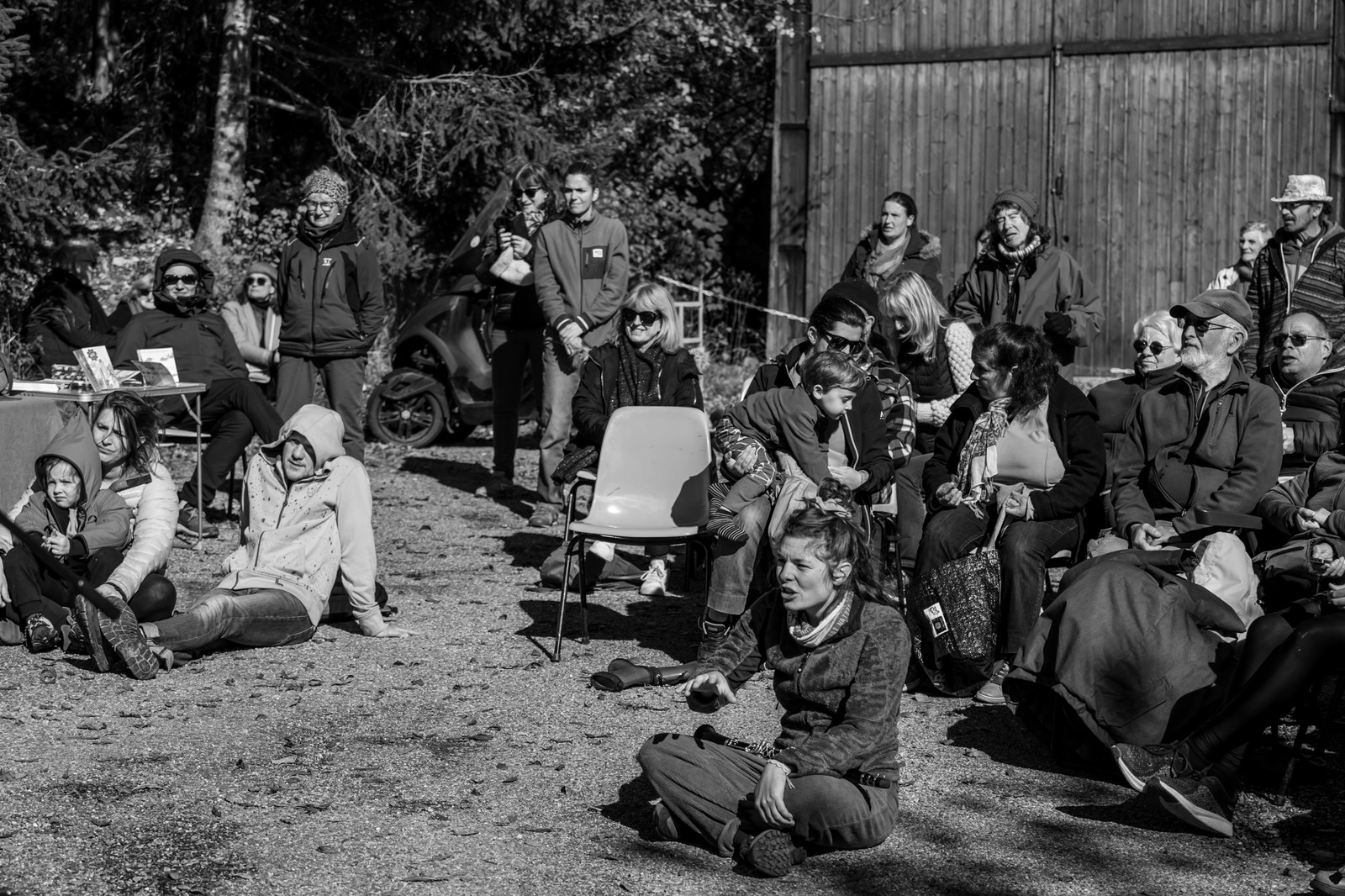 26 octobre 2025 : Les oiseaux de trottoir