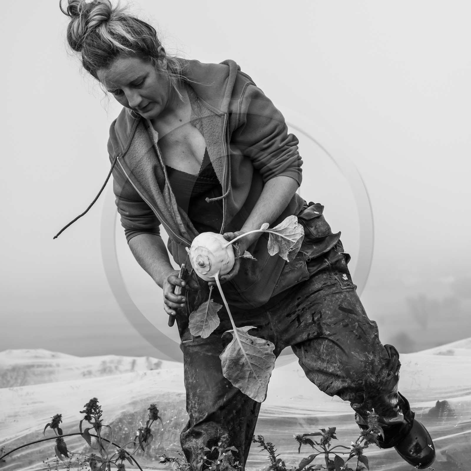 Maraichage biologique dans le Champsaur