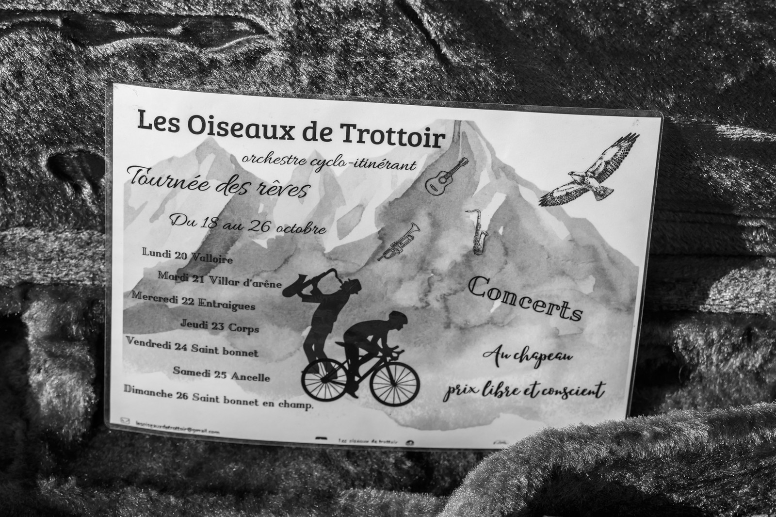 26 octobre 2025 : Les oiseaux de trottoir