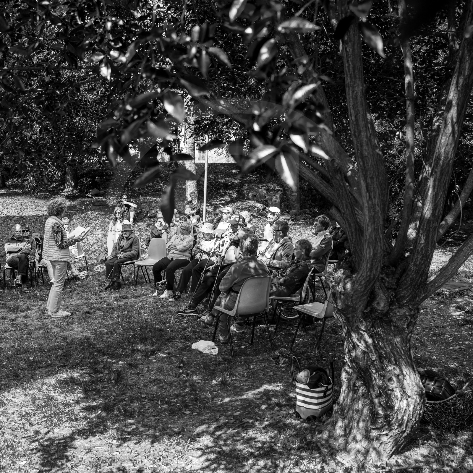 30 août 2023 : Lectures au jardin