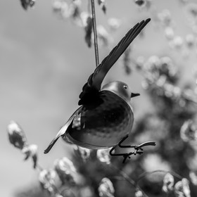 27 juin 2025 : Journée des aidants