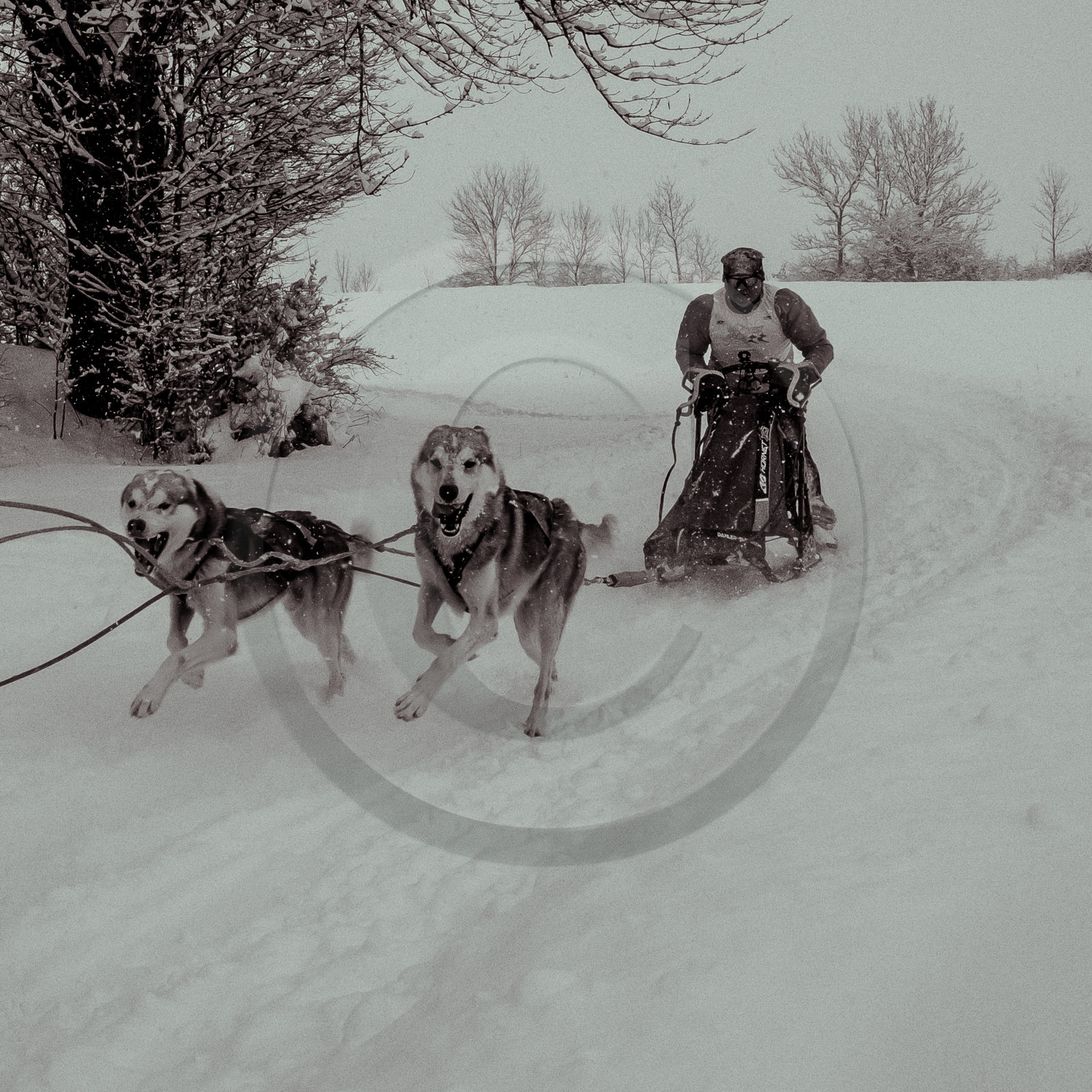 La Valgaude Traineau 2015