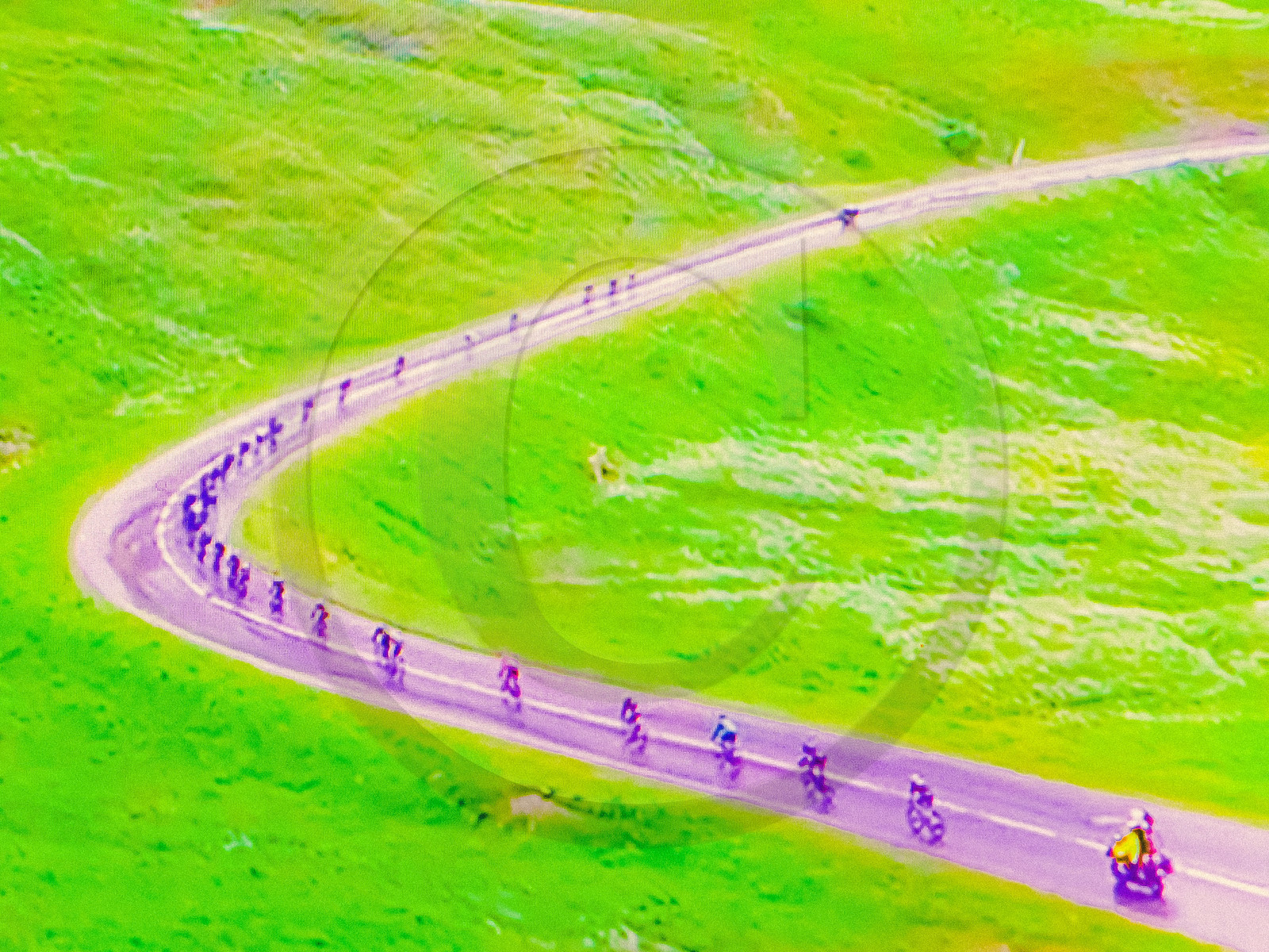 Le Tour de France cycliste 2021