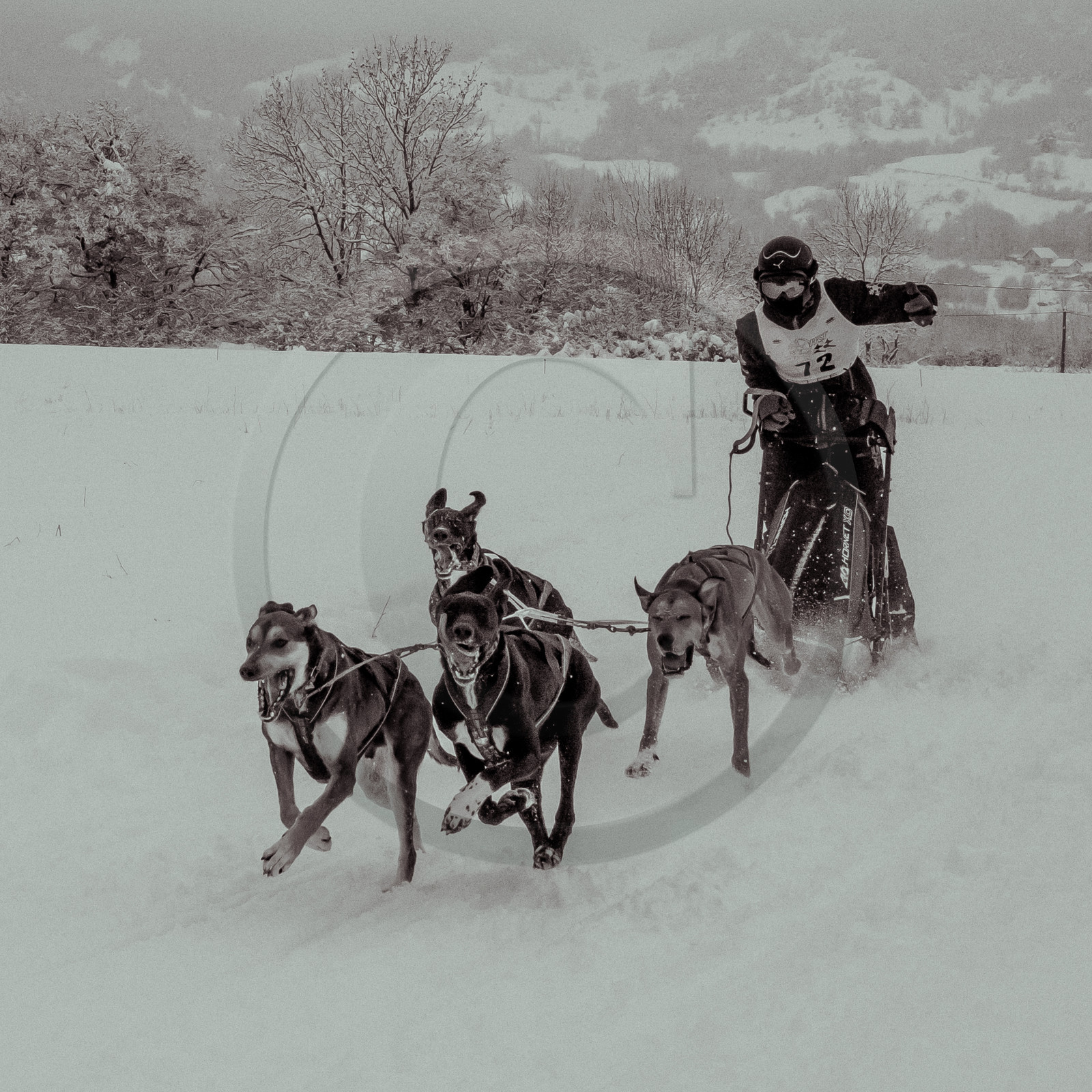 La Valgaude Traineau 2015
