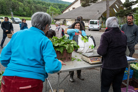31 mai 2025 : AMAP du Champsaur - Distribution