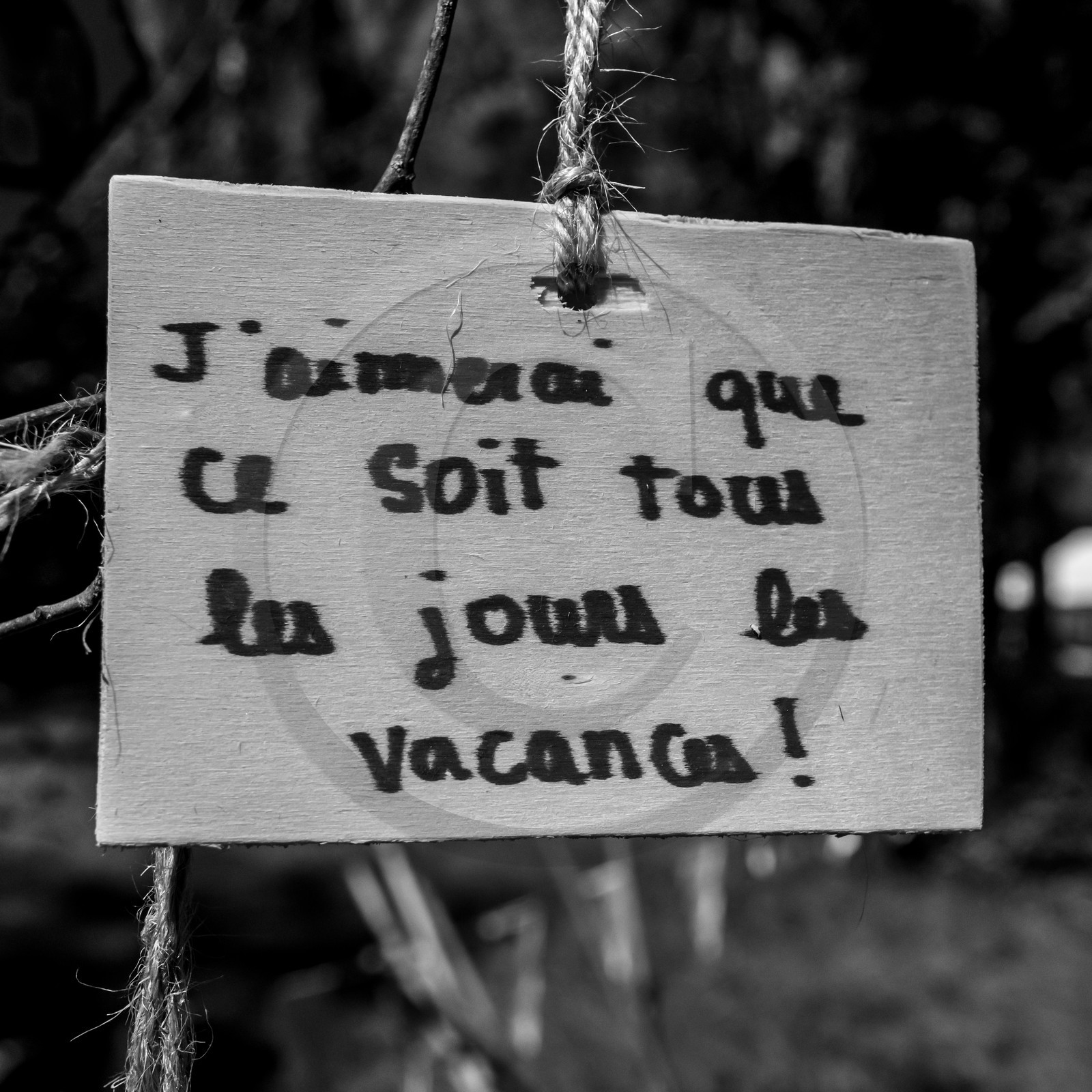 L'écho des mots