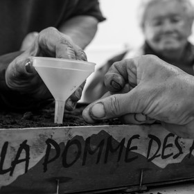 Les semis