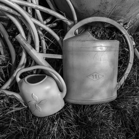 03 mai 2024 : Journée des aidants