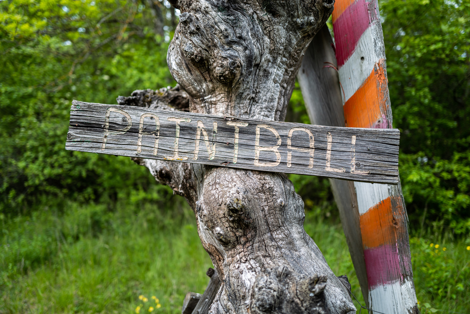 Le Pas du Loup - Le Glaizil -14 mai 2023