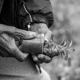 23 avril 2025 : Des oiseaux et des plantes