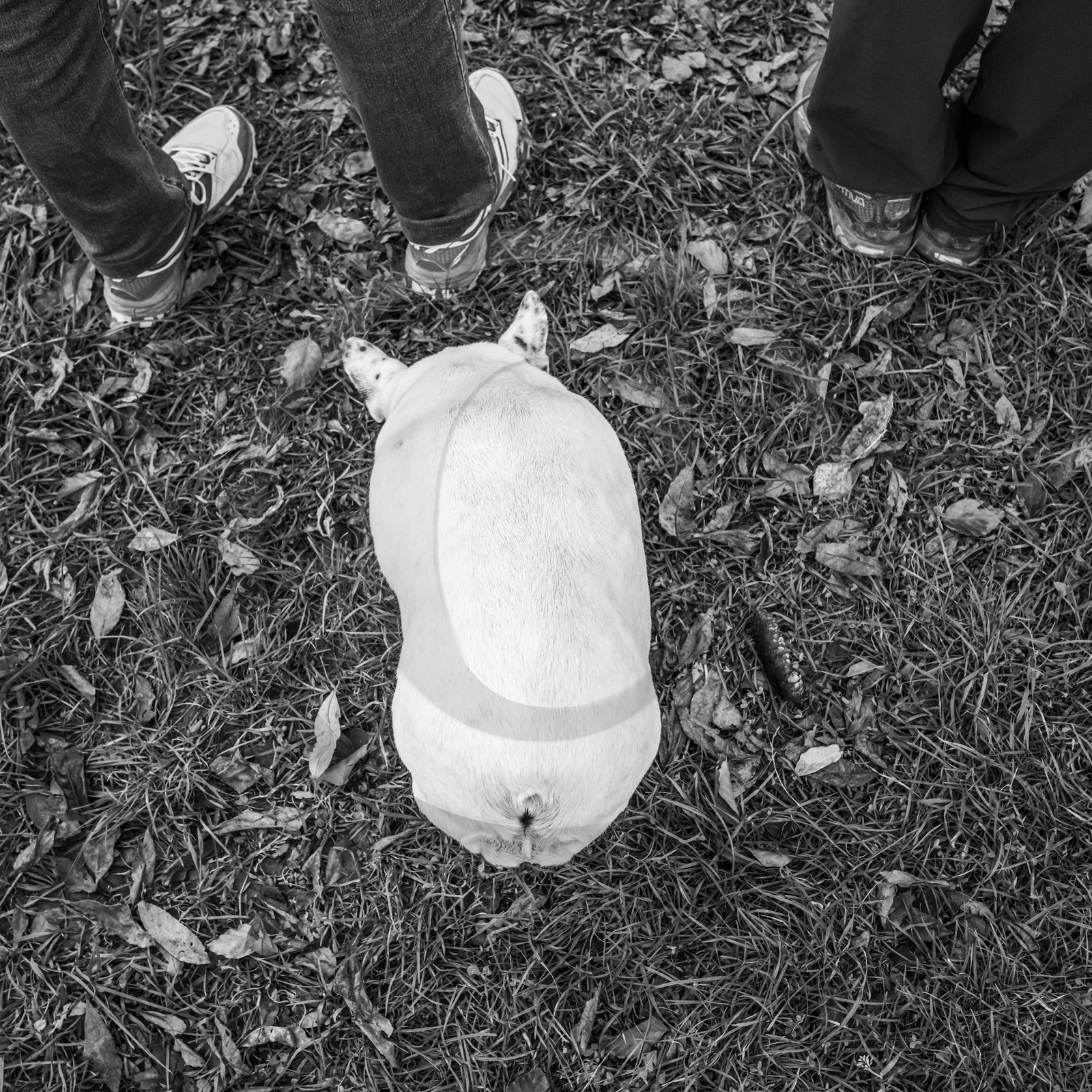 30 octobre 2024 : Découverte du Bao Pao avec Jean Schumtz et la compagnie La Puce à l'Oreille