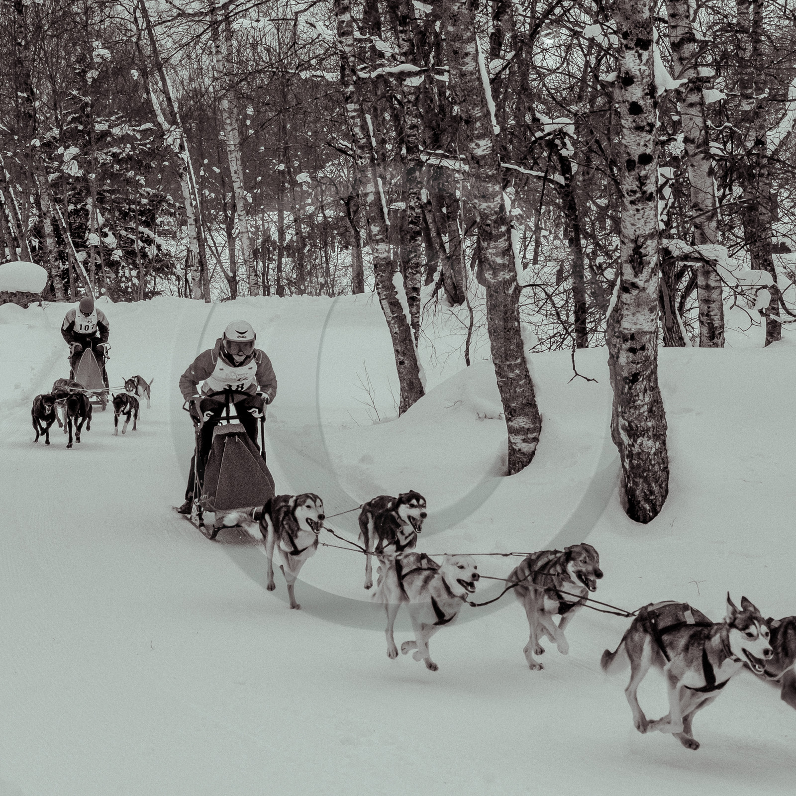 La Valgaude Traineau 2015