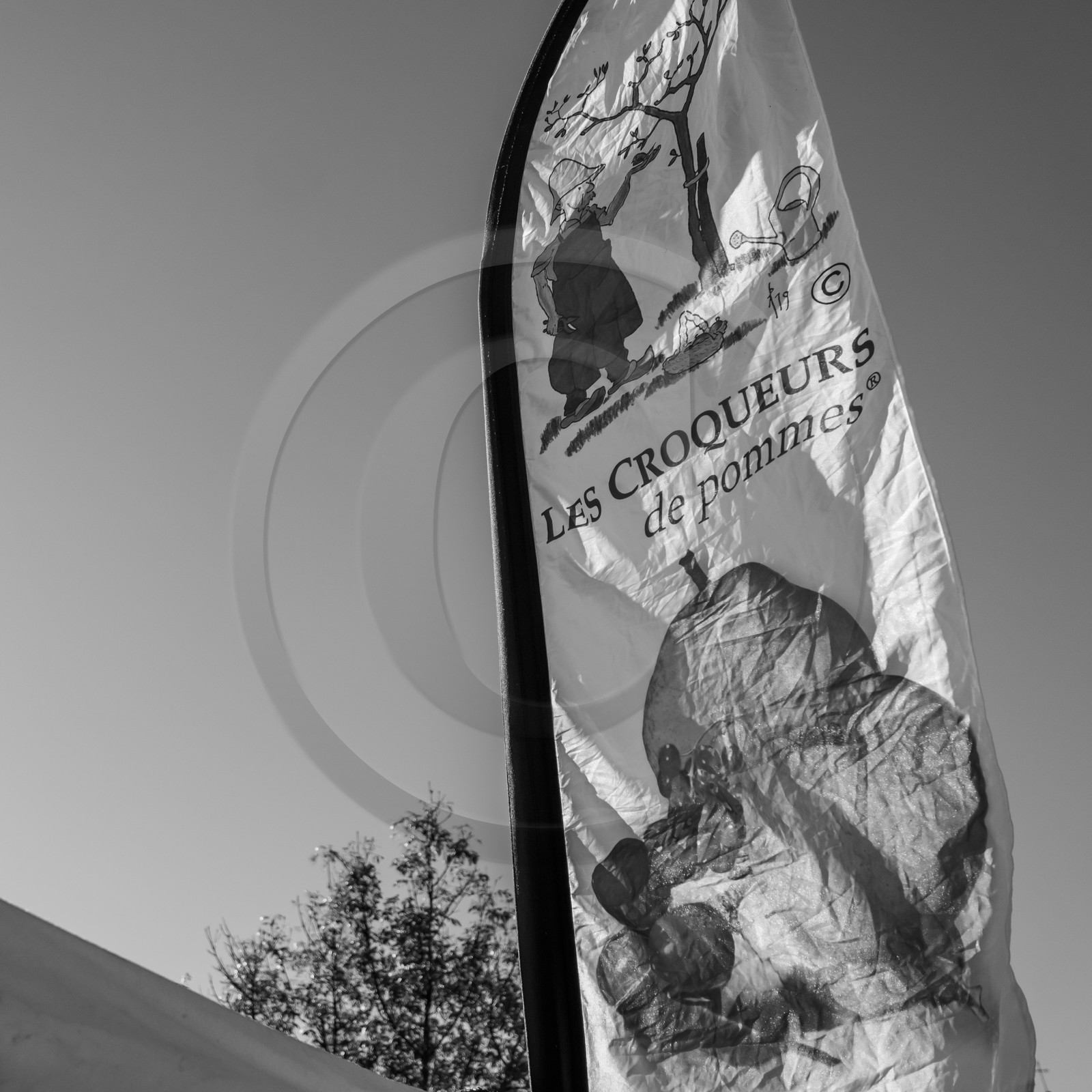 24 octobre 2021 : Fais ta soupe et ramène ta pomme