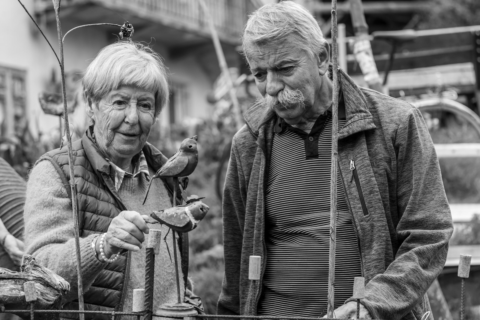 23 avril 2025 : Des oiseaux et des plantes