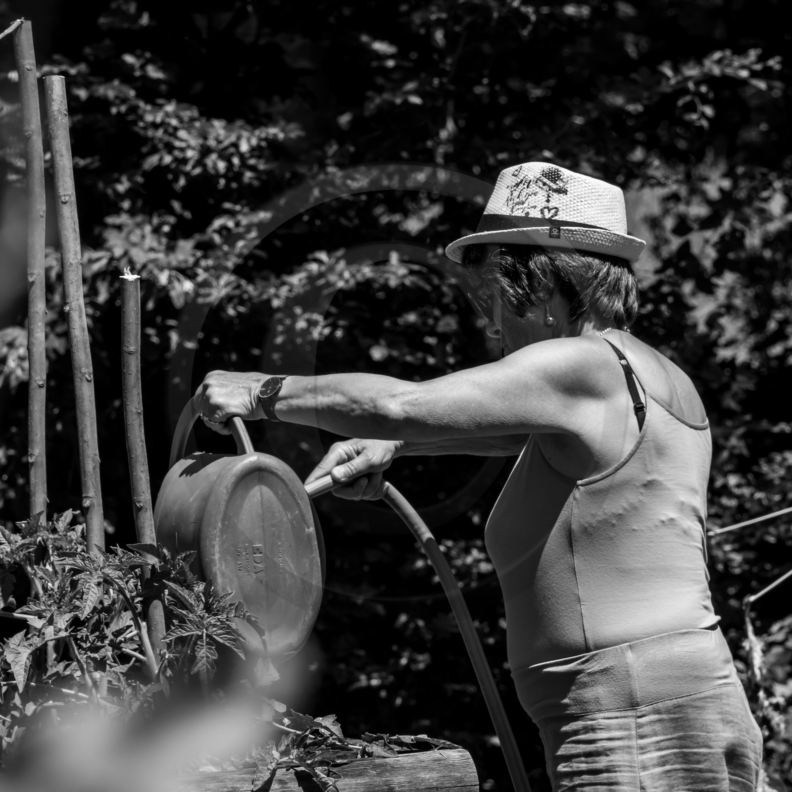 30 juin 2021 : Jardinage, jeux de cartes, masques