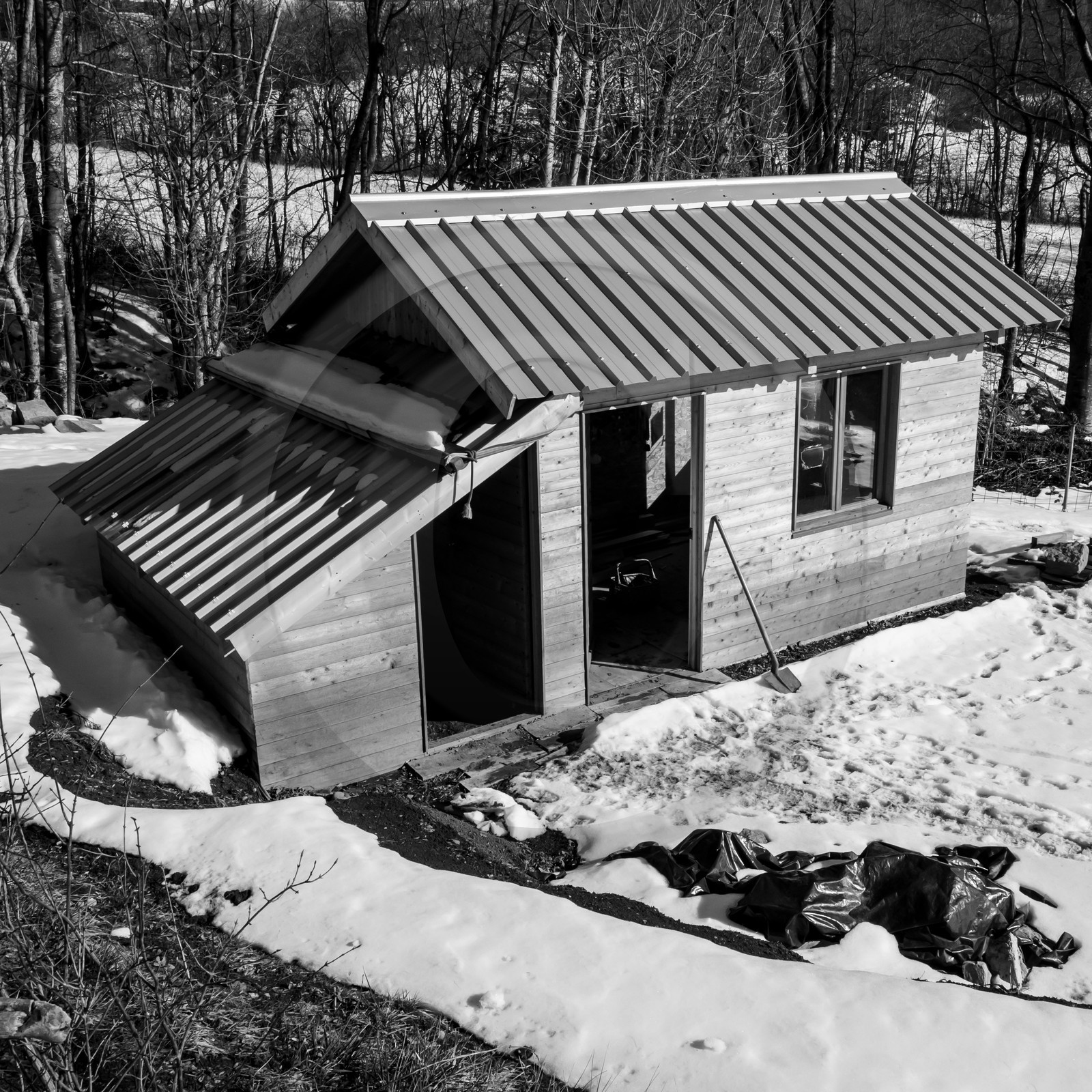 06 février 2019 : la pose des nichoirs