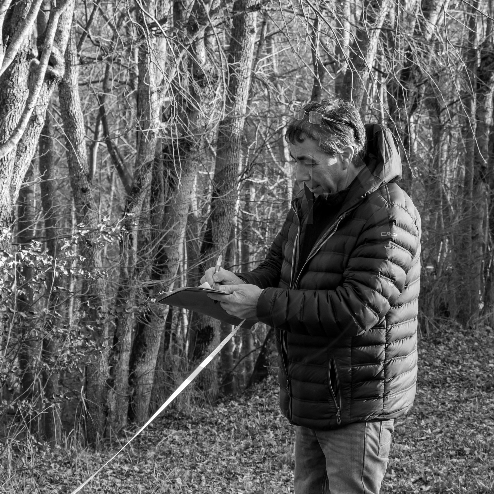 Découverte du jardin le 03 01 2017