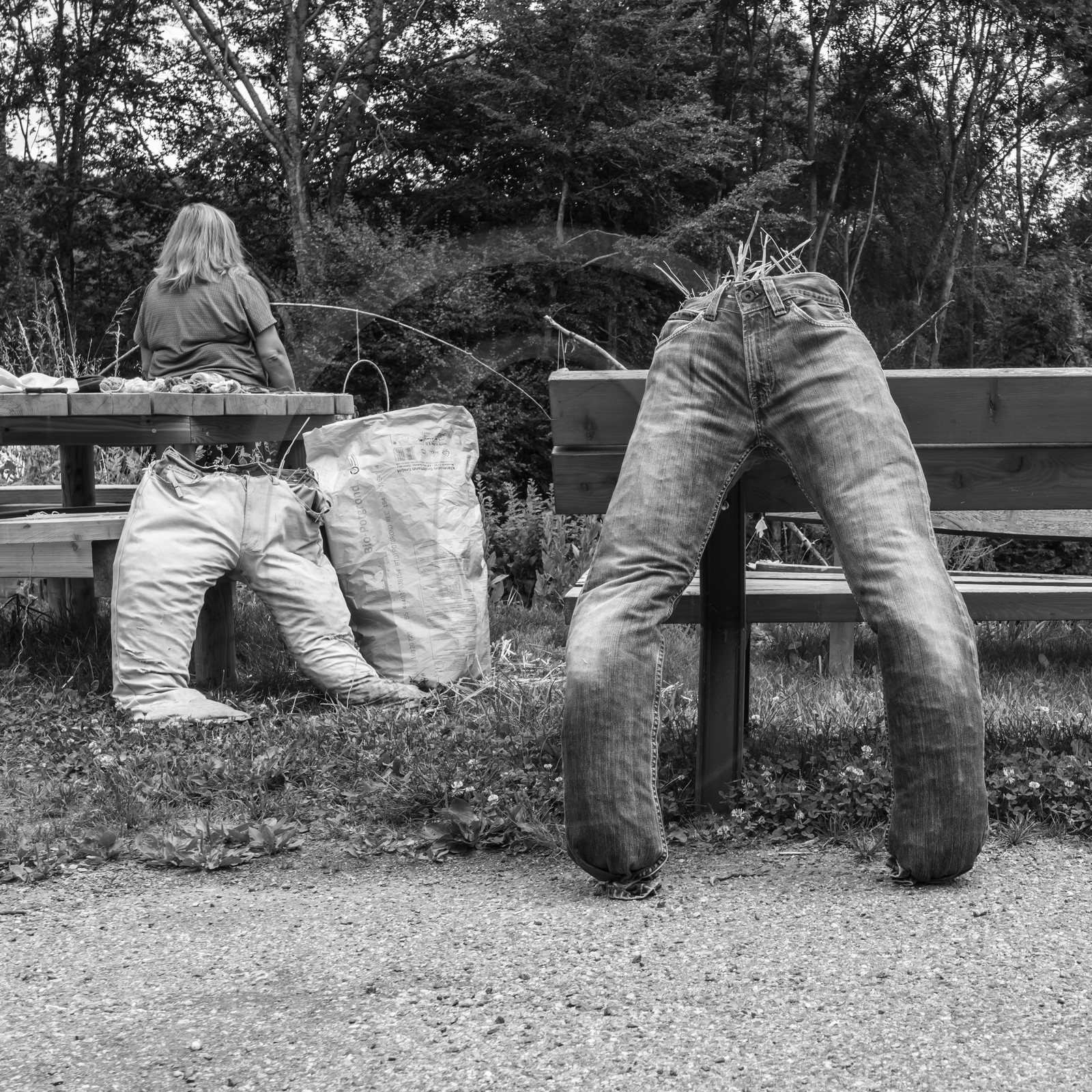 Promenades au jardin