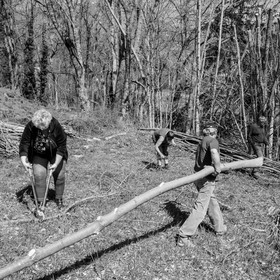 Nettoyage du terrain - Coupe du bois - 29 03 17