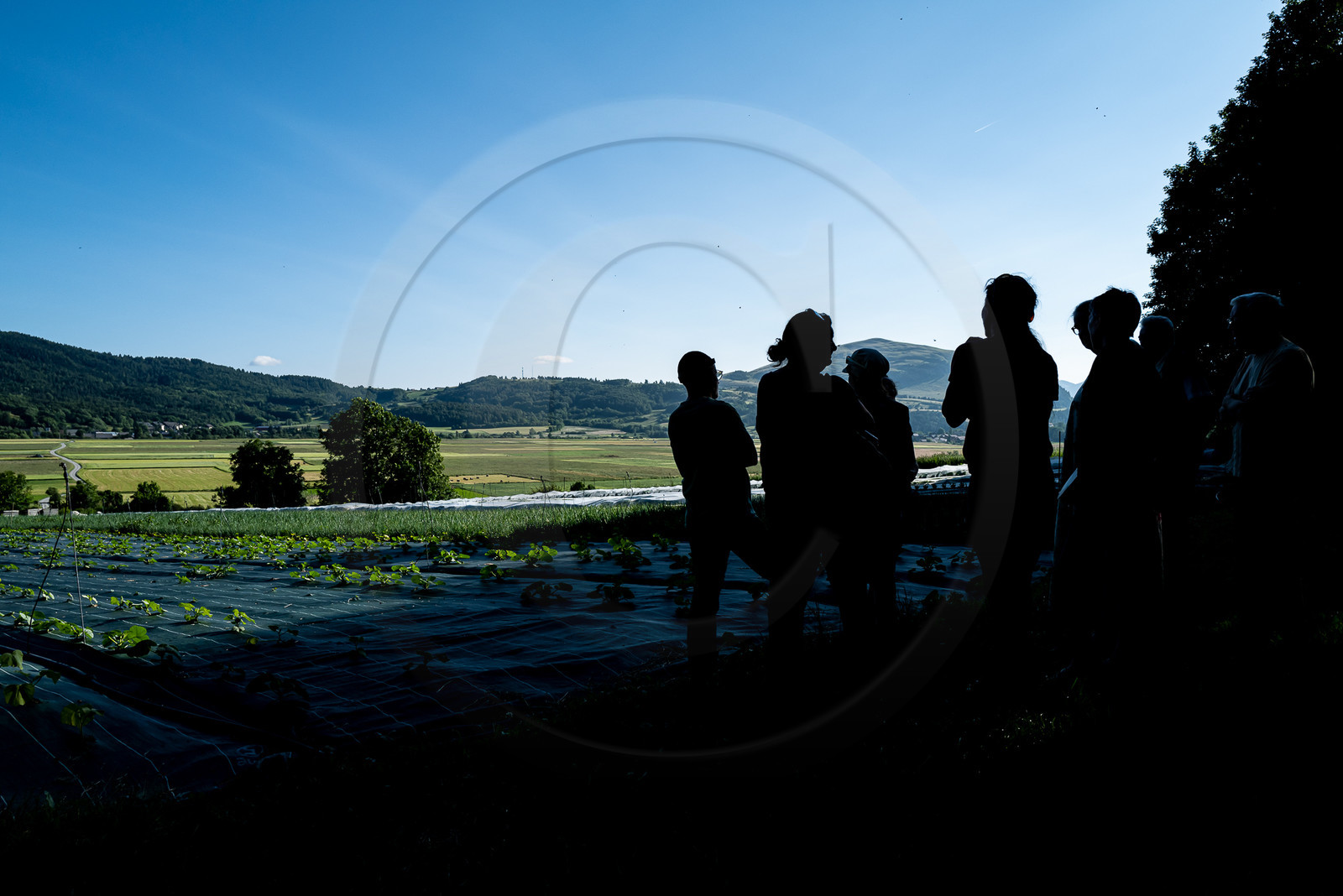 Légumontagne : maraichage biologique à Ancelle Légumontagne : maraichage biologique à Ancelle