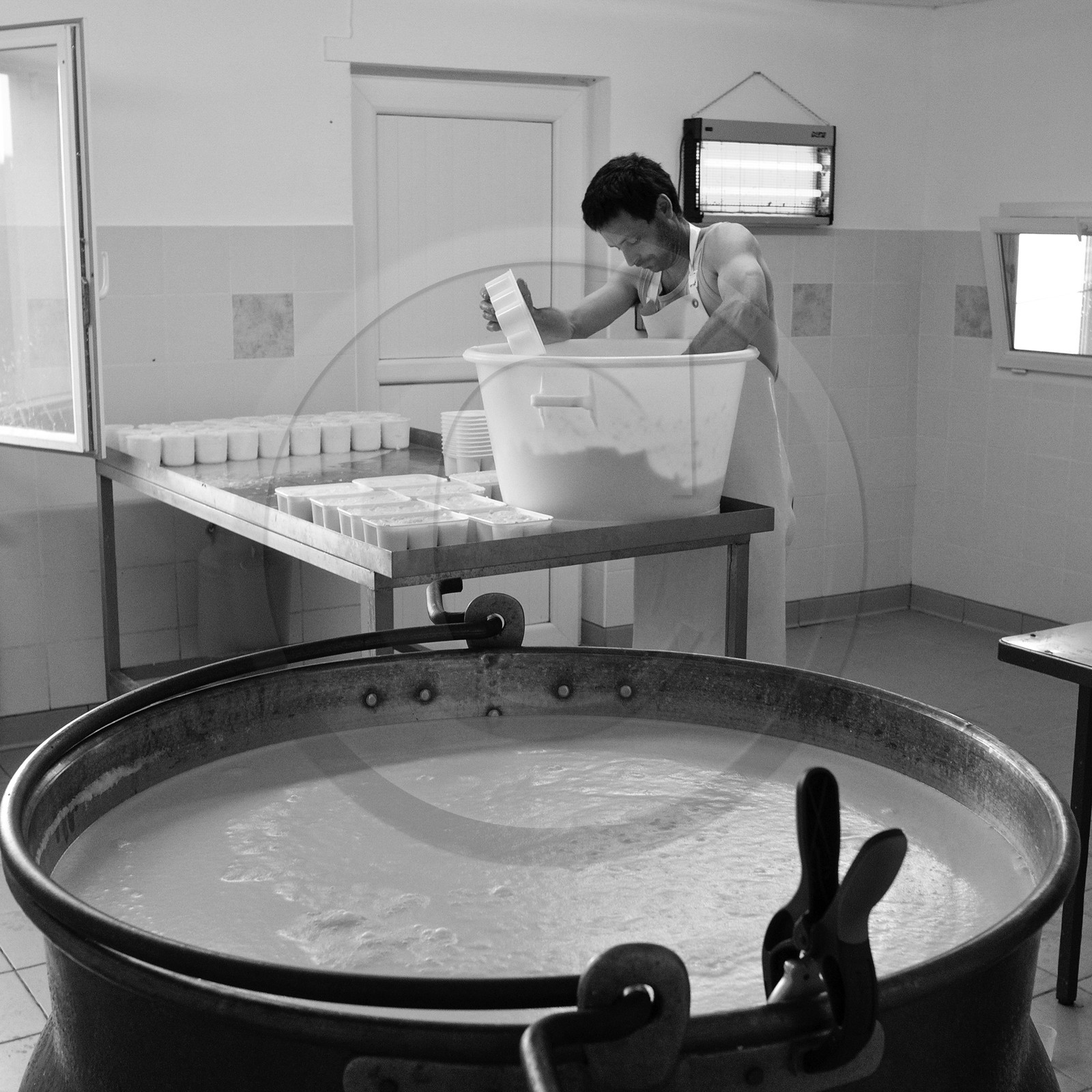 Paul Flambard, fromager