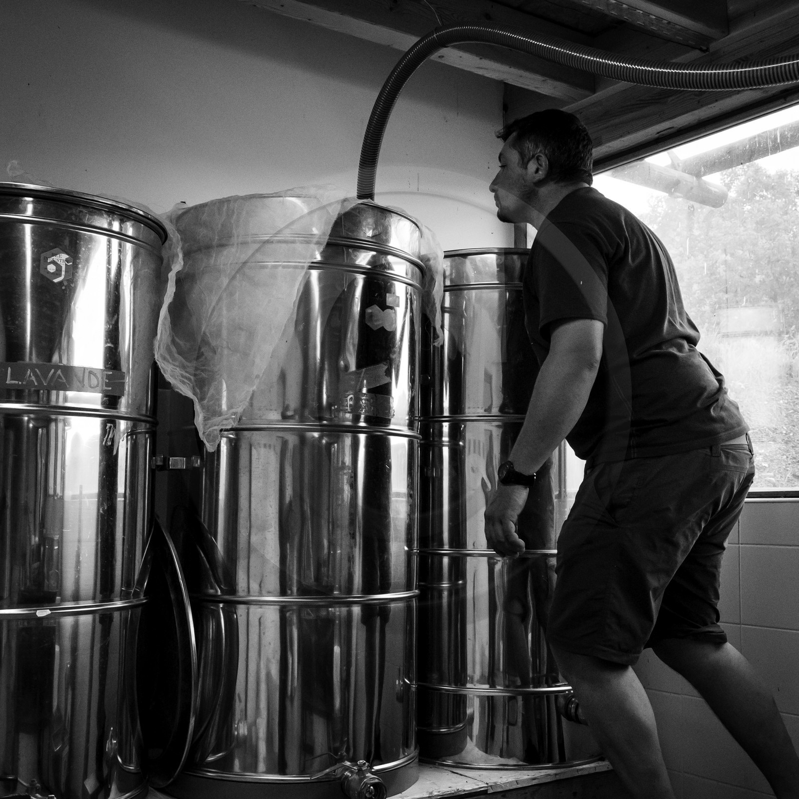 L'extraction du miel