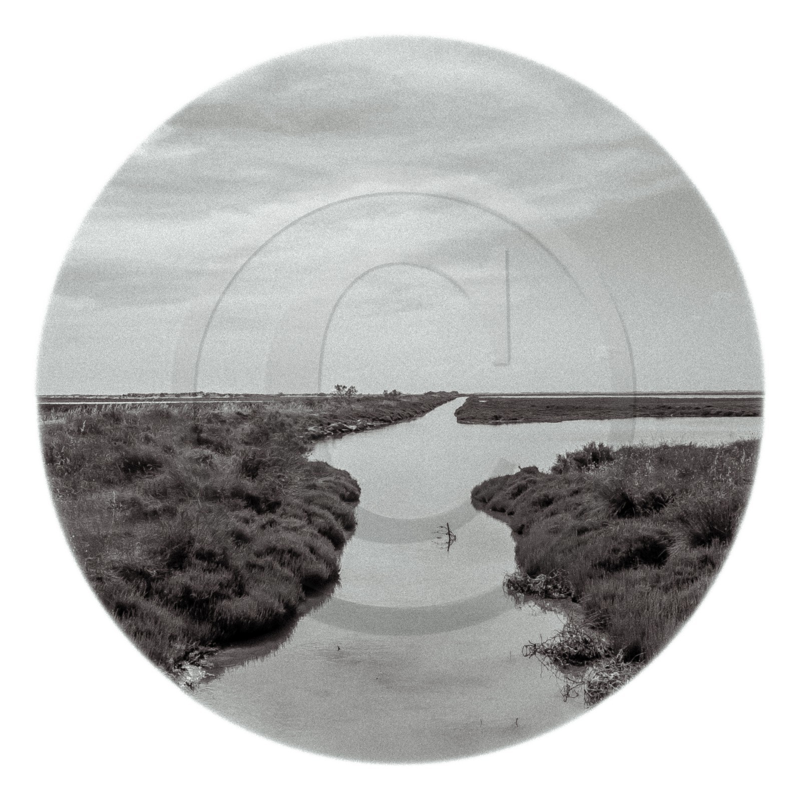 Les instants Camargue