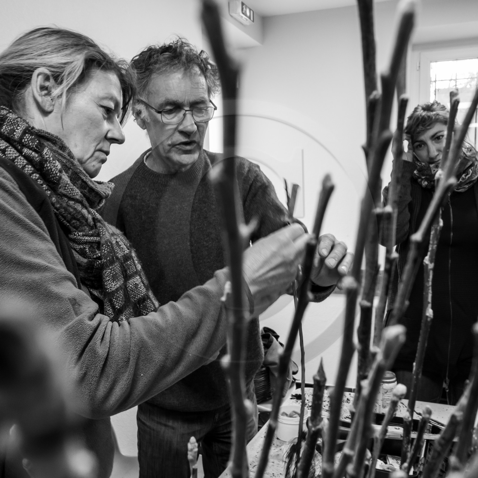 03 avril 2019 : Initiation à la greffe d'arbres fruitiers