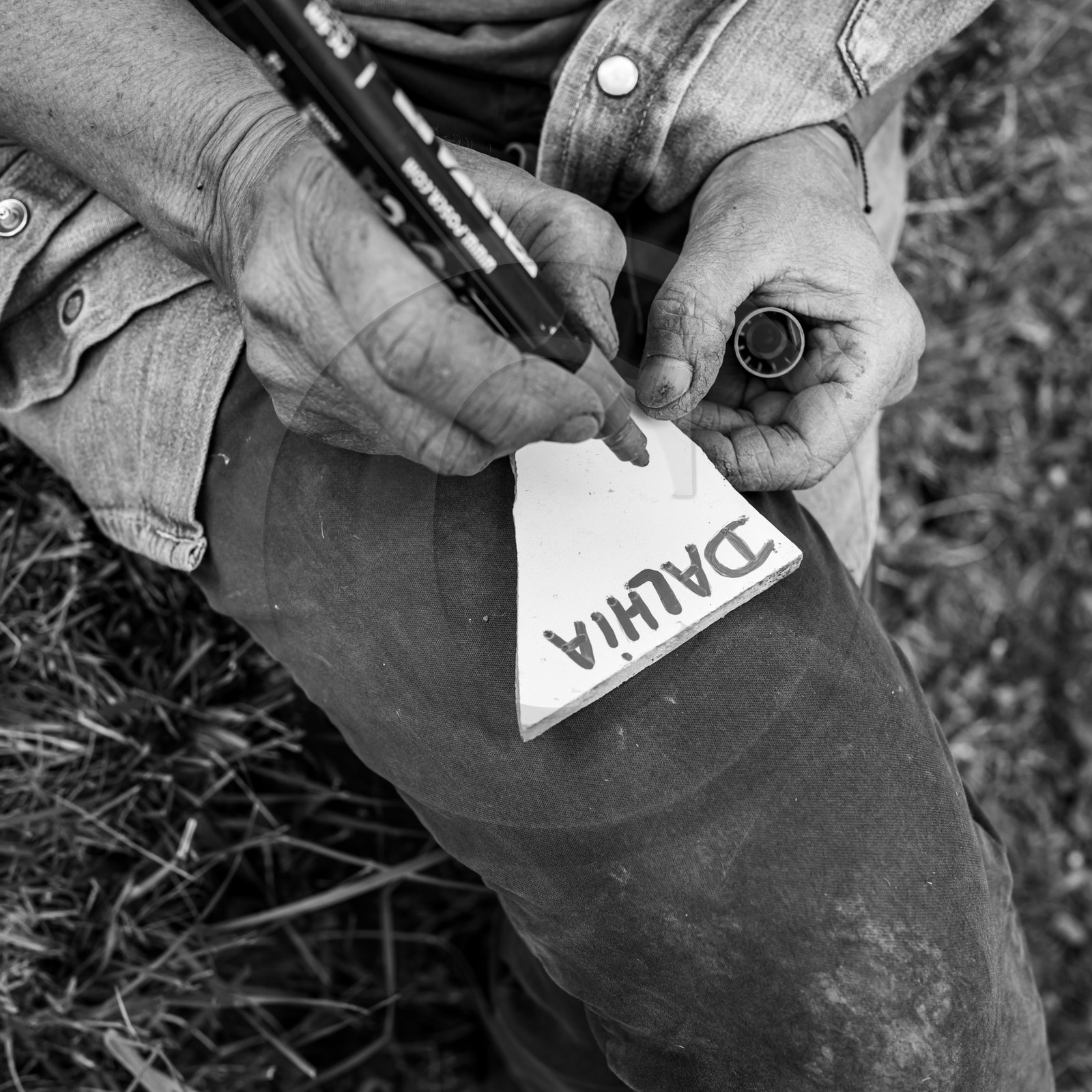 01 mai 2024 : chants, laine et jardinage