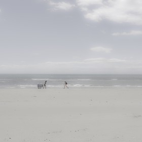 Camargue couleur pastel