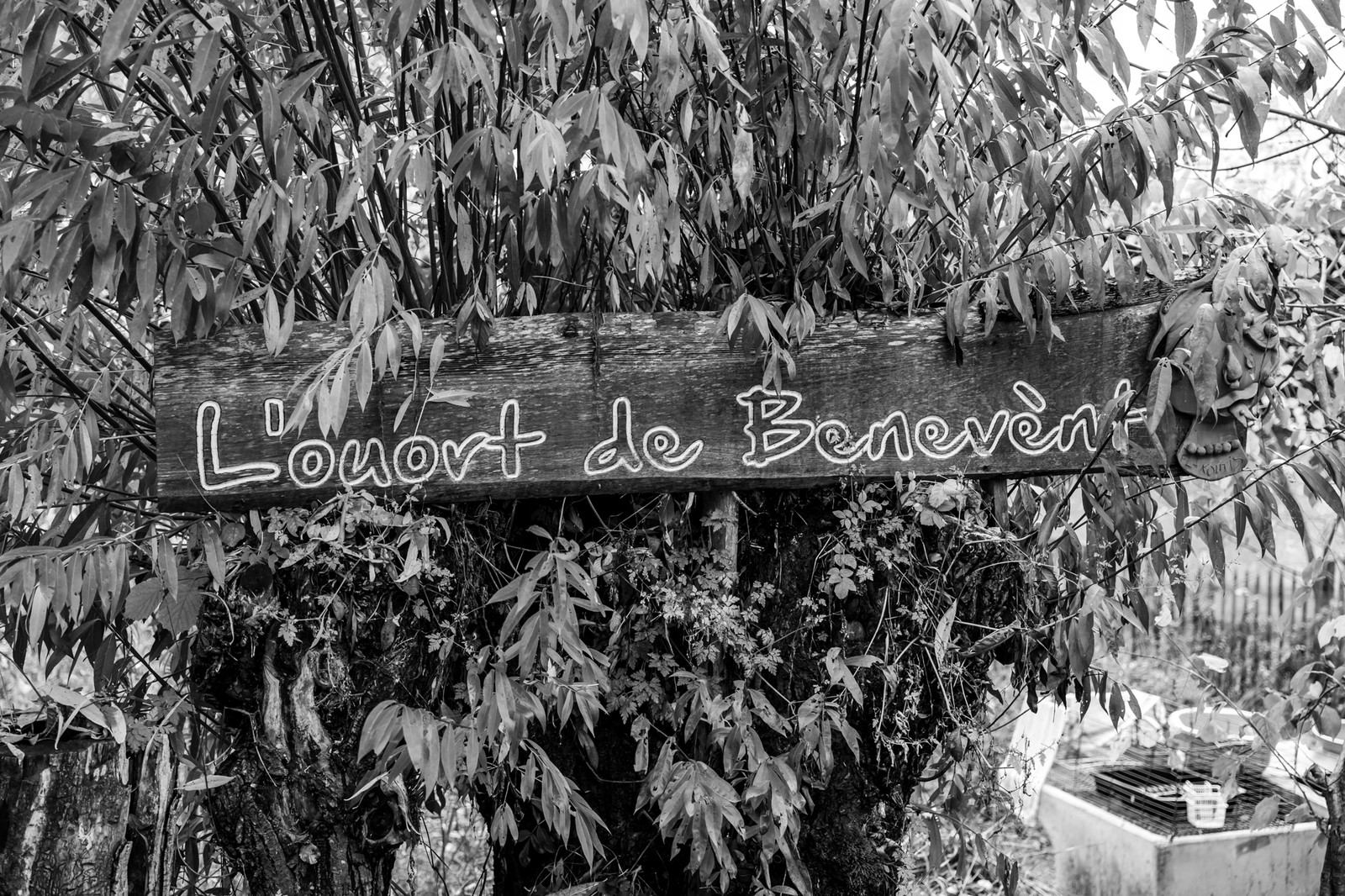 22 octobre 2025 : Aprés-midi détente