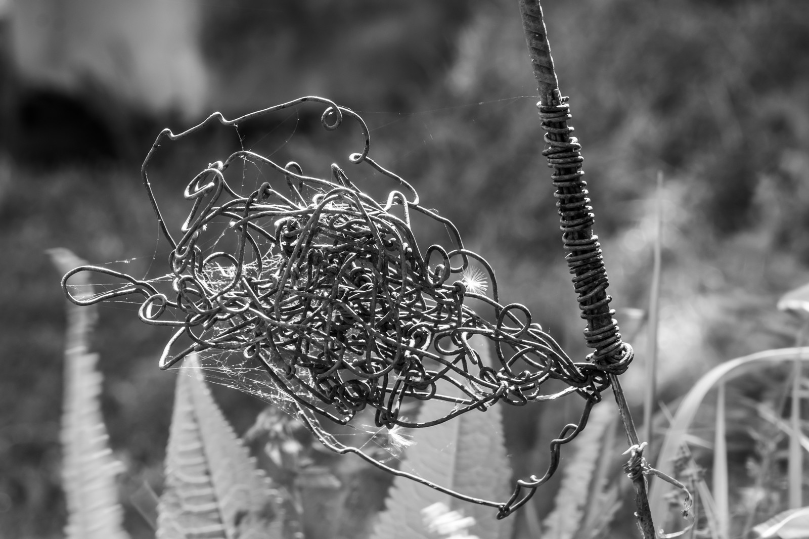 16 mai 2025 : Journée des aidants