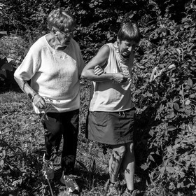 Activités au jardin