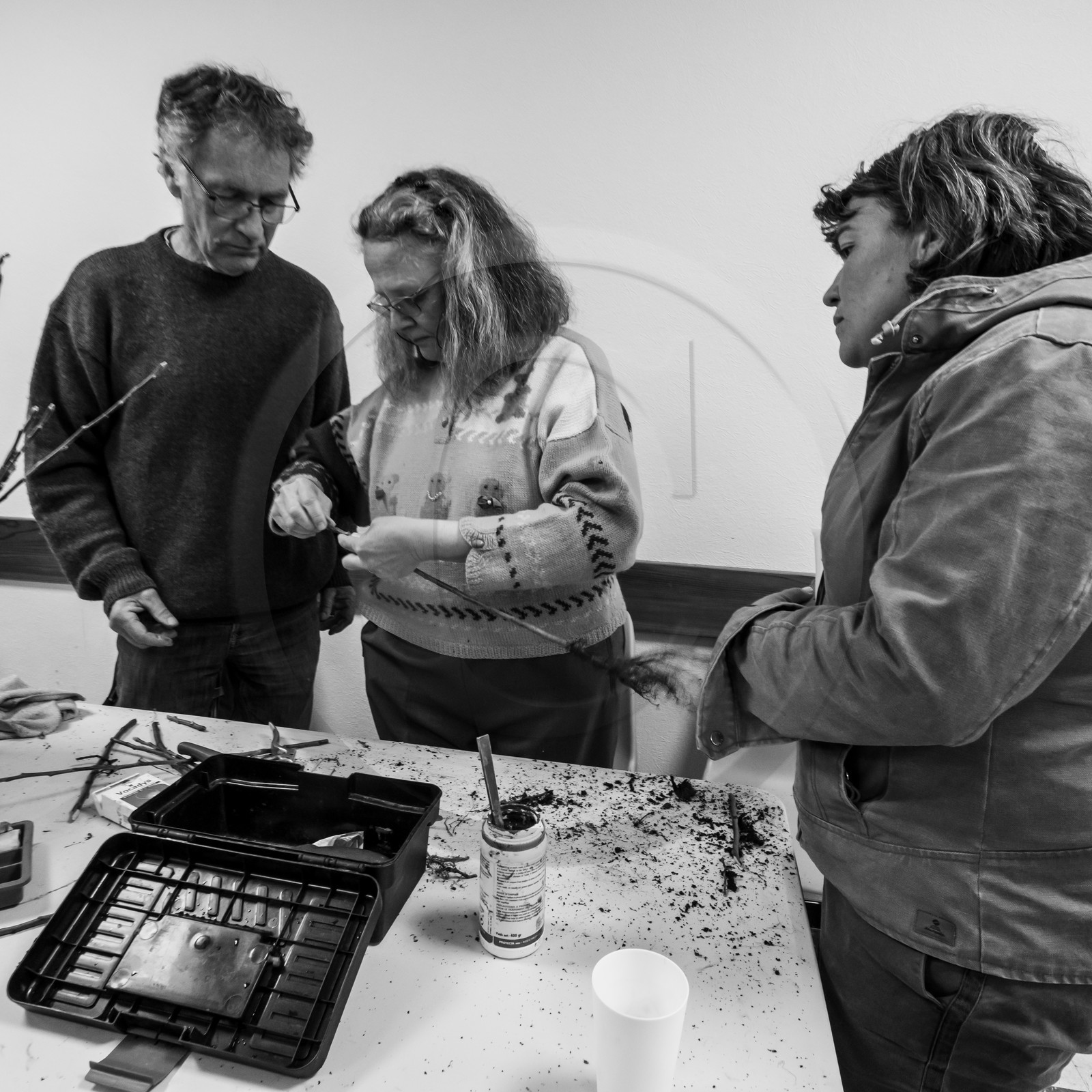 03 avril 2019 : Initiation à la greffe d'arbres fruitiers