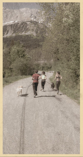 Le kilomètre dérogatoire