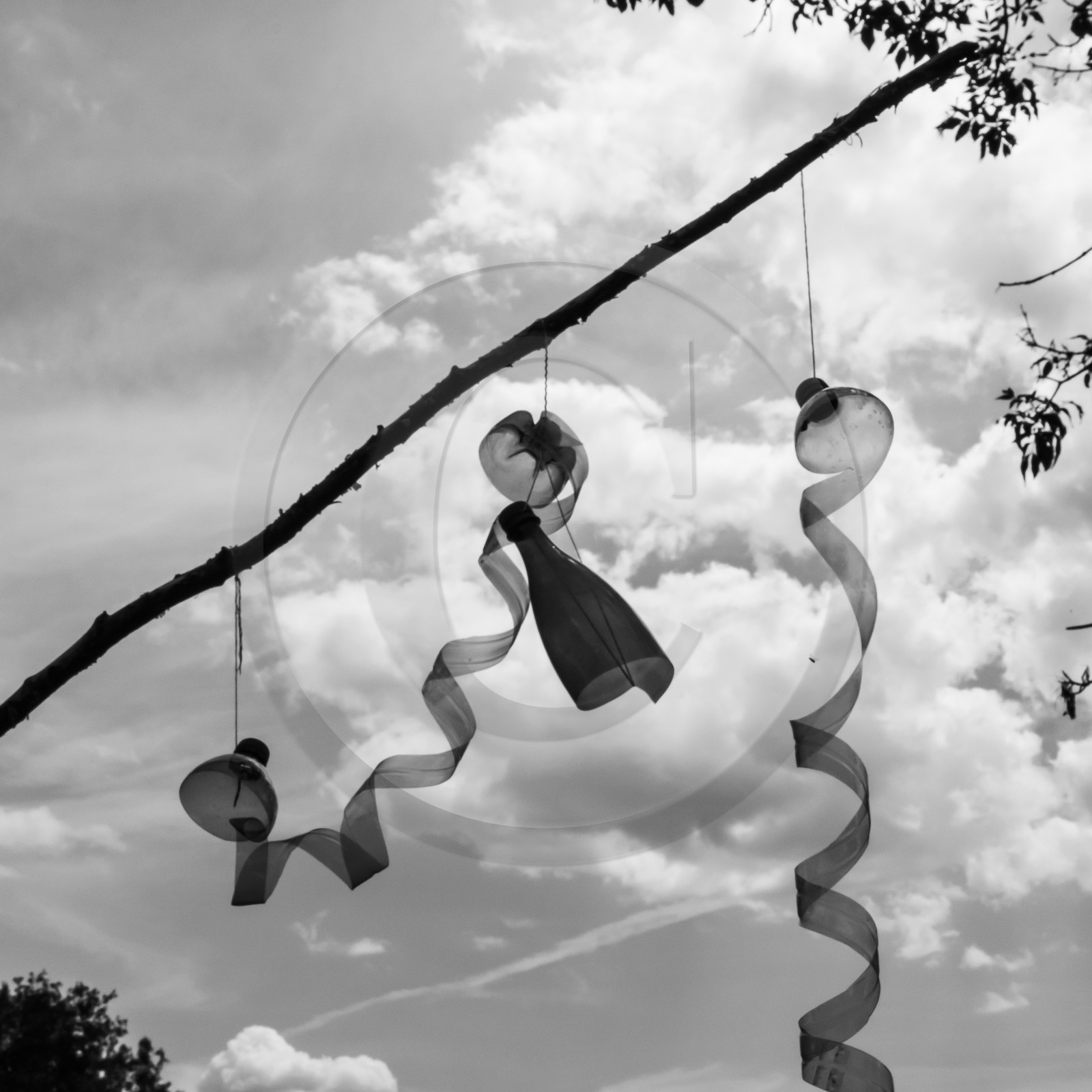 17 juillet 2019 : massages assis 17 juillet 2019 : massages assis