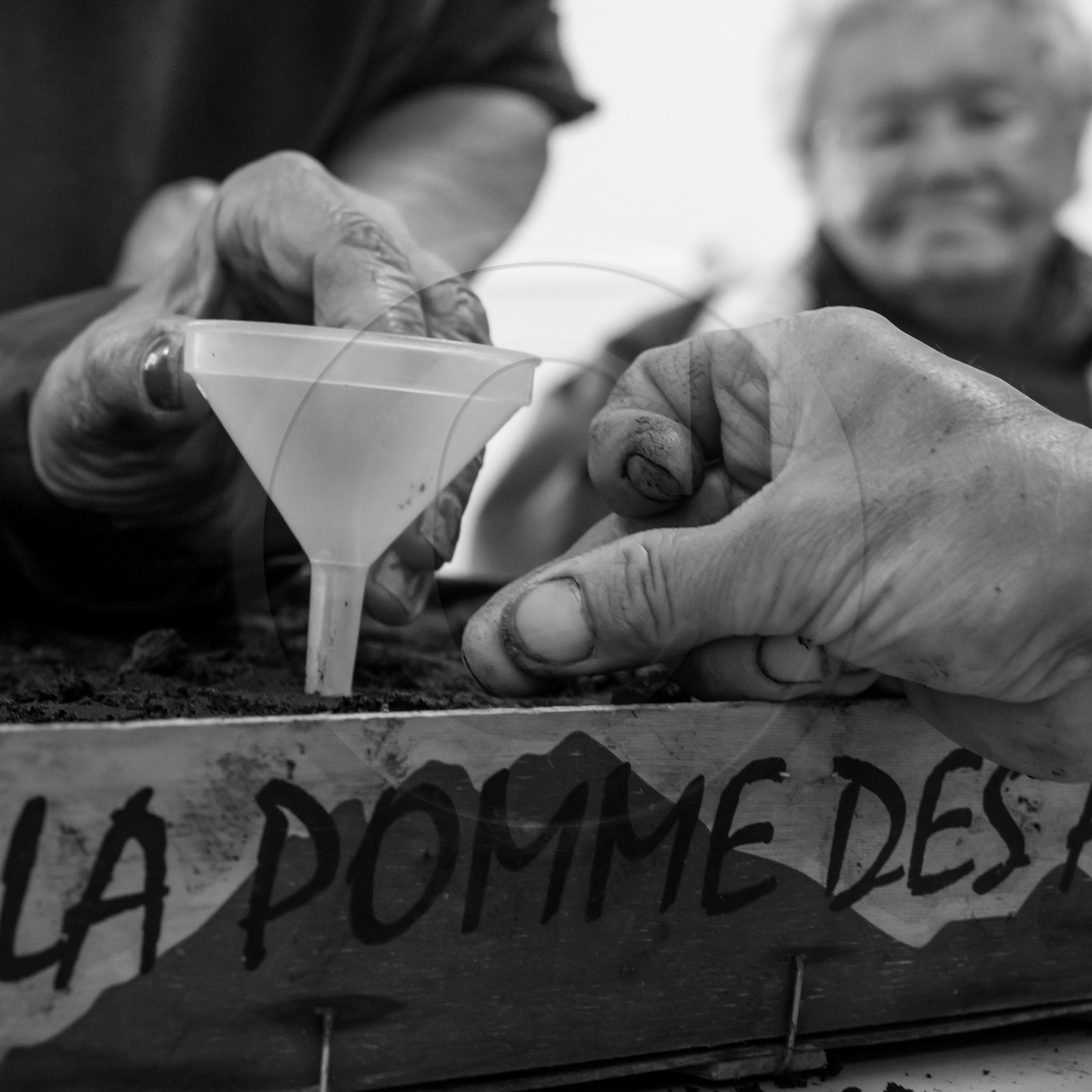 Les semis