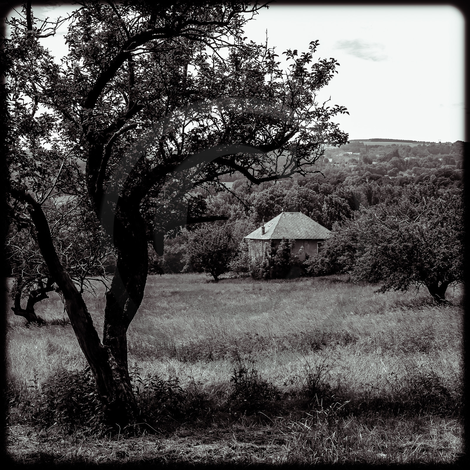 Une maison abandonnée à Saint-Julien-en-Champsaur