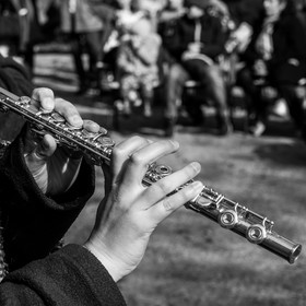 26 octobre 2025 : Les oiseaux de trottoir