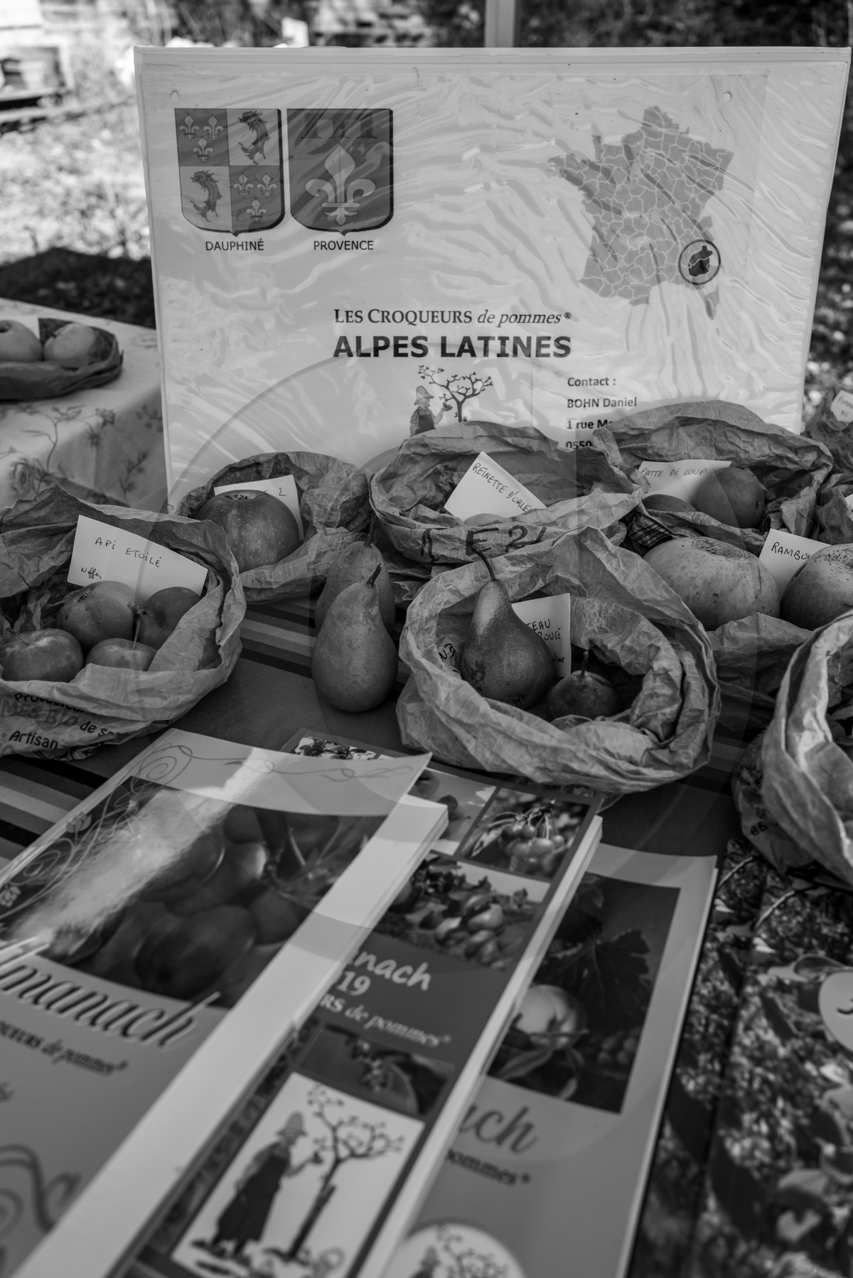 05 novembre 2022 : des pommes et des soupes